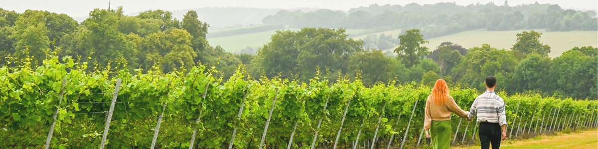 Untitled Design (35)