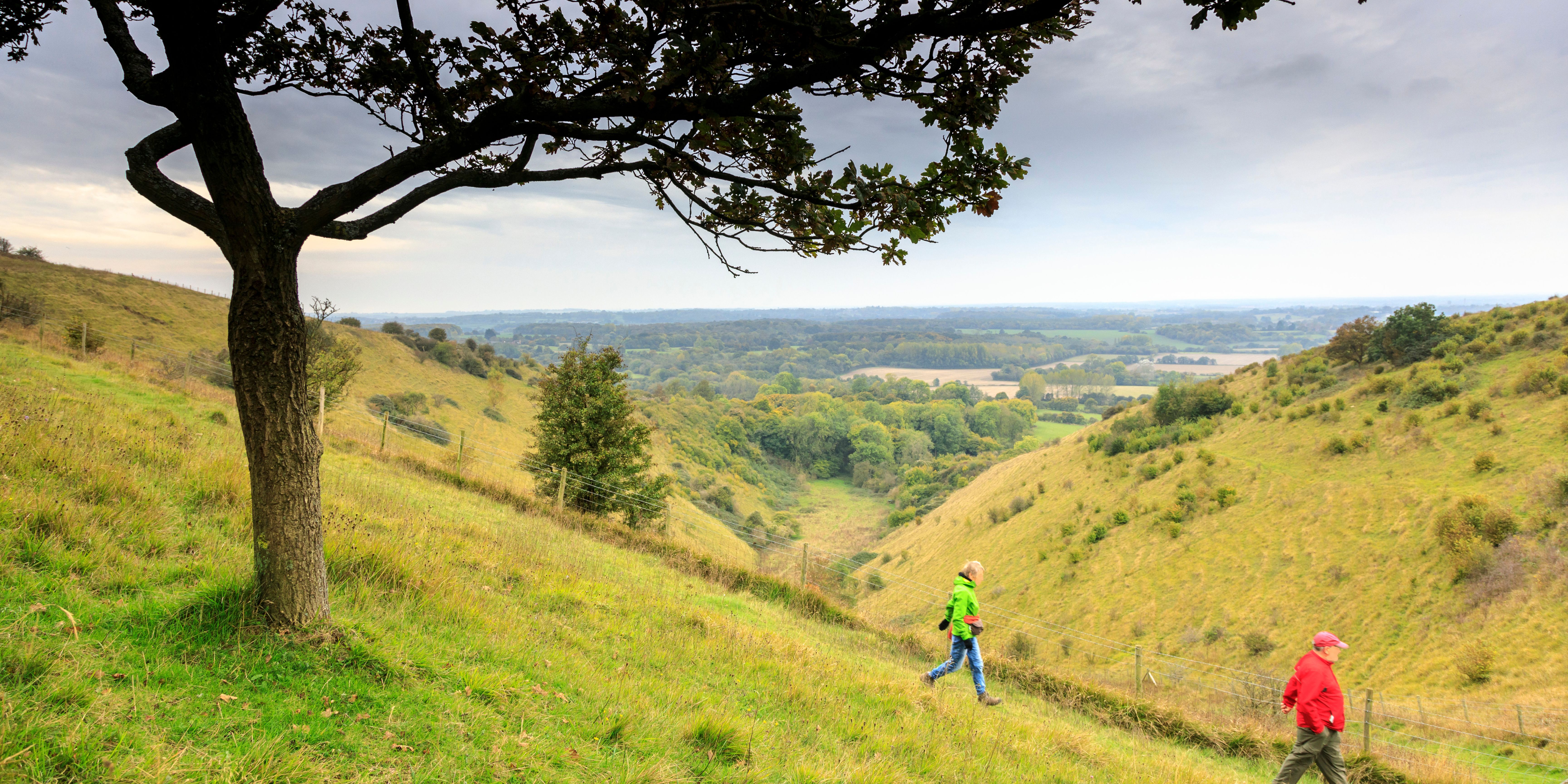 Untitled Design (38)