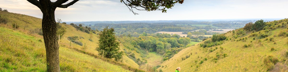 Untitled Design (38)