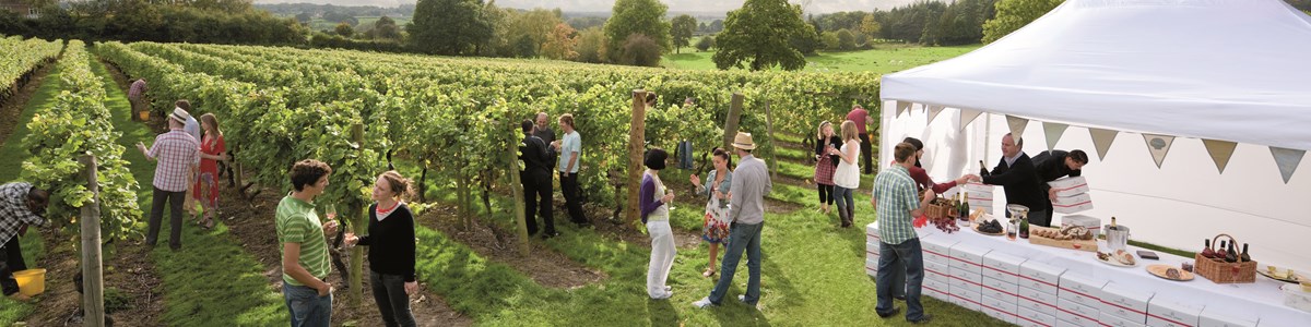 Chapeldown Landscape MEDIUM