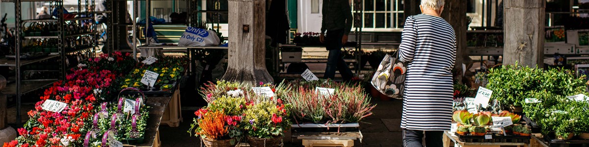 GGT Image Faversham Low Res