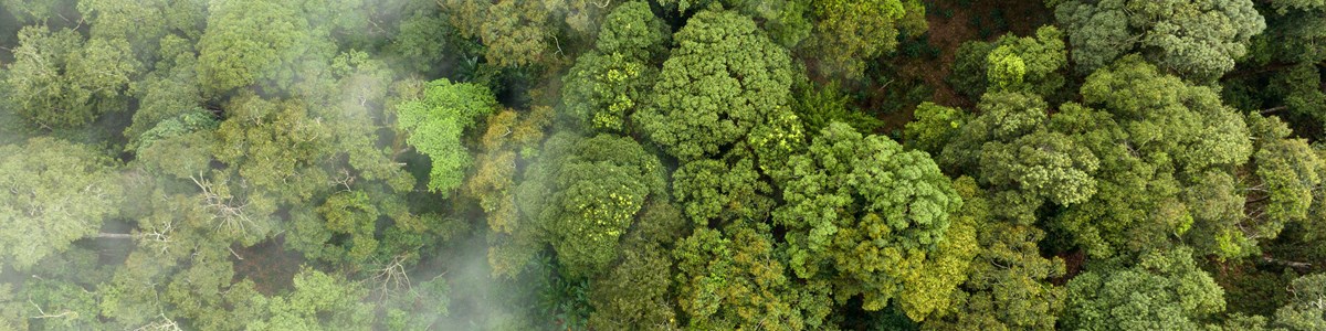 Untitled Design 2023 05 04T155407.474