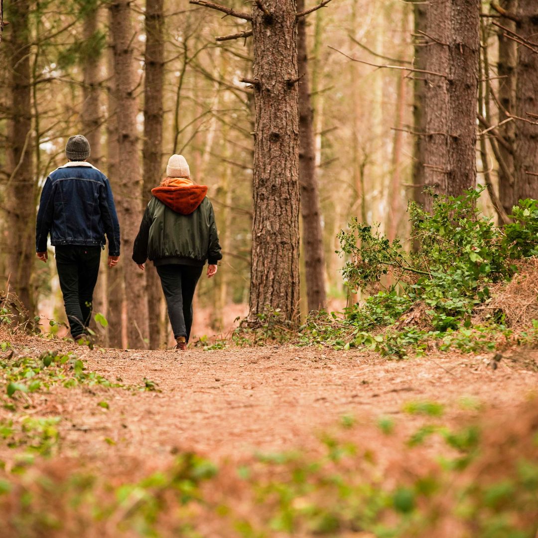 Untitled Design 2023 05 17T170633.046