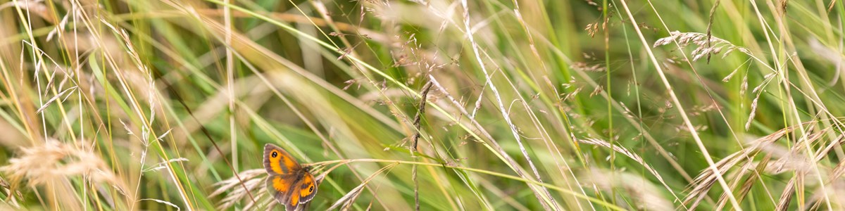 Untitled Design 2023 05 22T091149.266