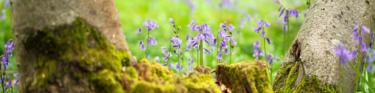 Untitled Design 2023 05 23T183309.783