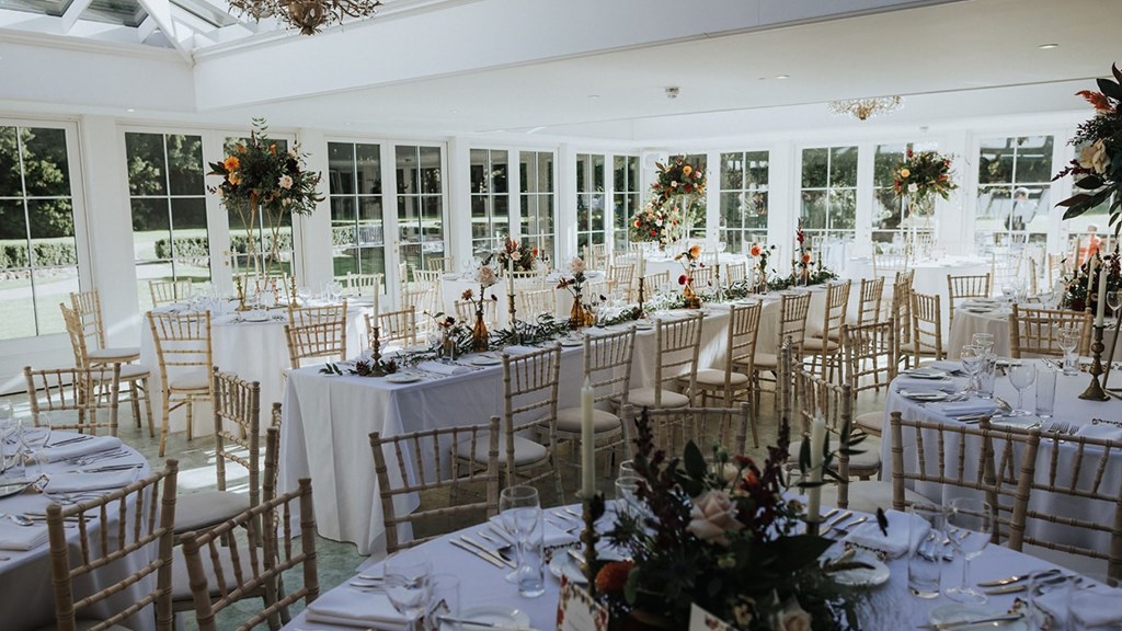 Hayne House Background