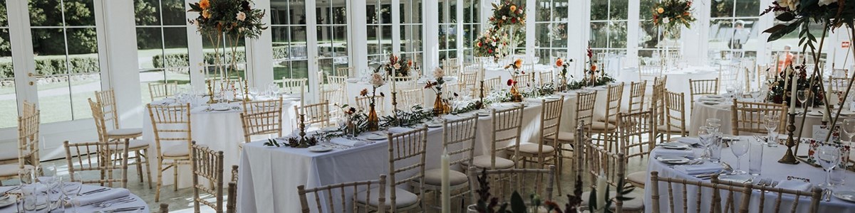 Hayne House Background